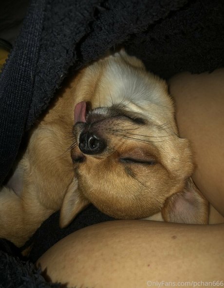 Pchan666 star nude img