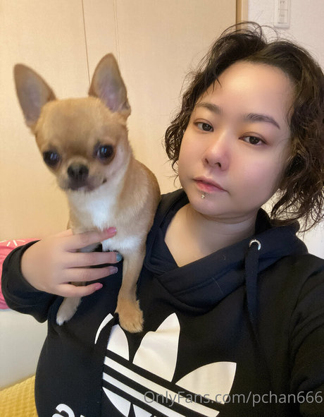 Pchan666 pornstar nice galleries