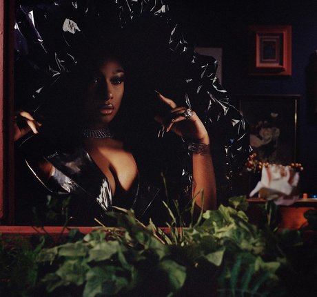 Megan Thee Stallion high quality actress pic