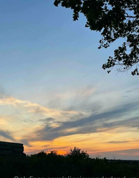 aliceinwonderland xo hd pornstar galleries