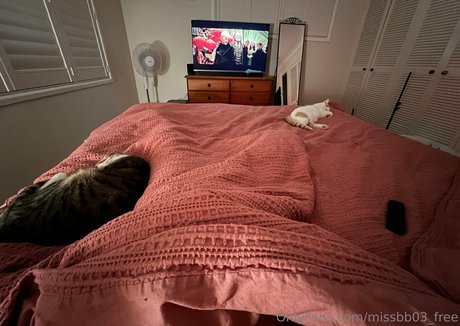 missbb03 free perfect star photos