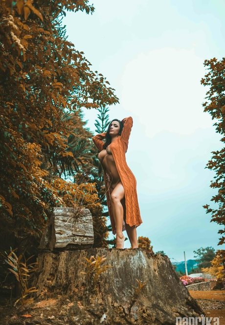 Talita Moraes star erotic gallery