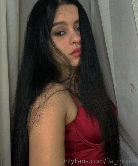 fia mojito nice star galleries