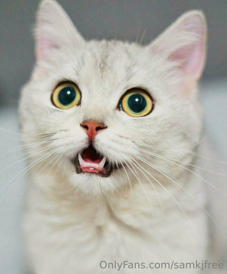 samkjfree pornstar sexy picture