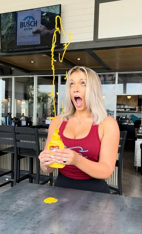 ariastormx model art image