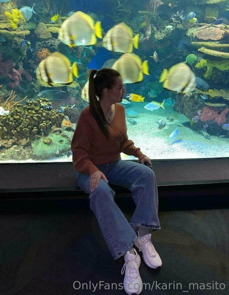 Karin Masito pornstar free img