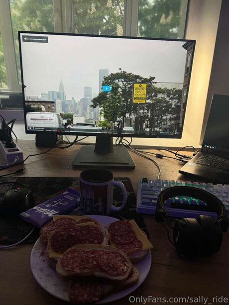 Sally Ride sex model pics