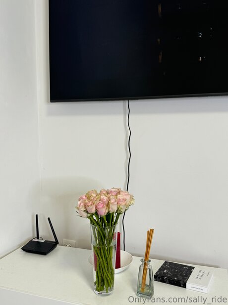 Sally Ride star pornographic pic