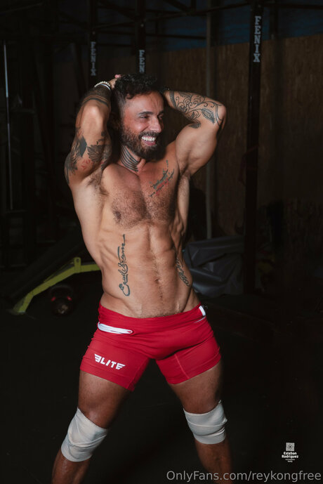 Reykongfree model porn archive