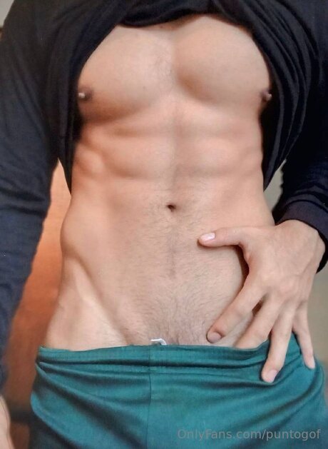 Puntogof high quality model img