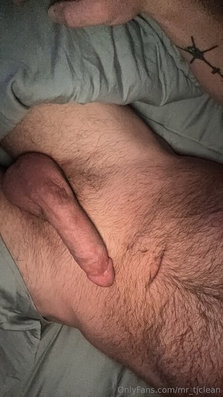 Mr Tjclean pornstar art gallery