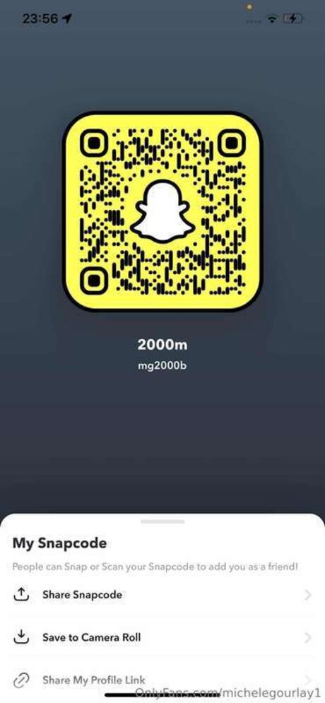 Michelegourlay1 top star photos