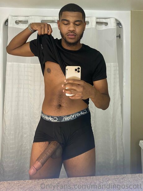 Mandingoscott xxx star archive