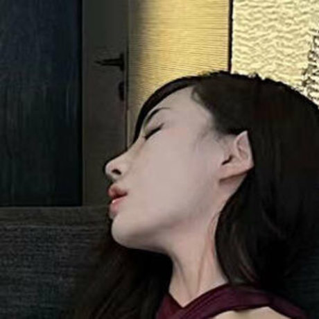 lianhong6688 pornstar art image