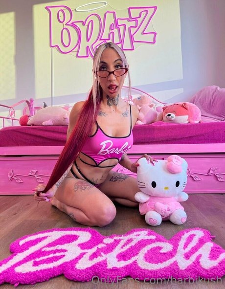 barbikush perfect star gallery