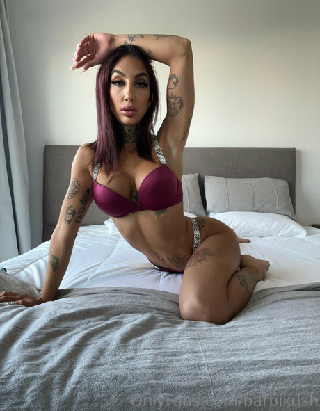 barbikush model high quality photo