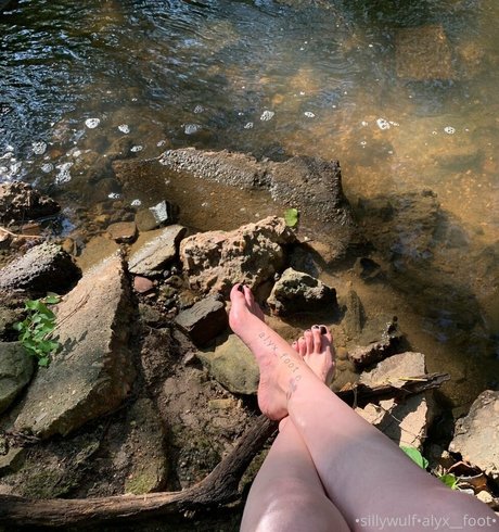 tinykittie exclusive pornstar img