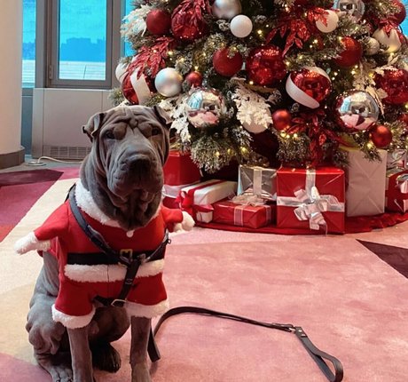 amyanderssen high quality actress pictures