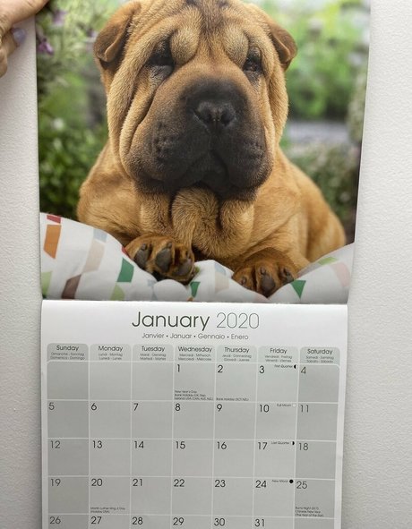 cum on big tits onlyfans free sexy photo