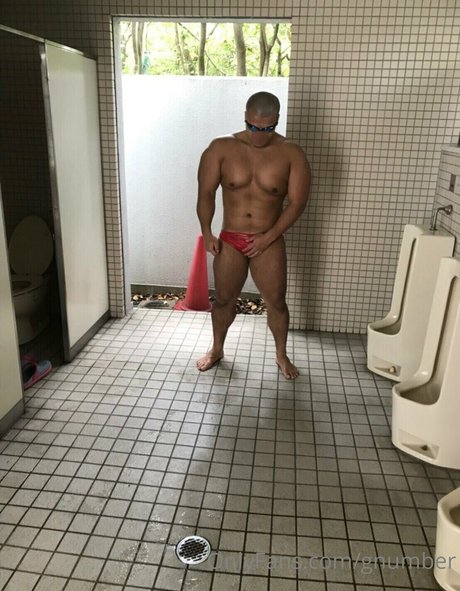 gnumber model hd pic