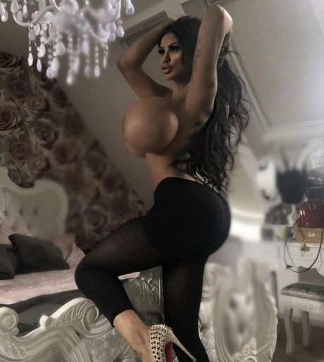 vip nvr free star picture