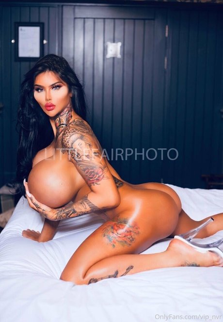 vip nvr model hot photo