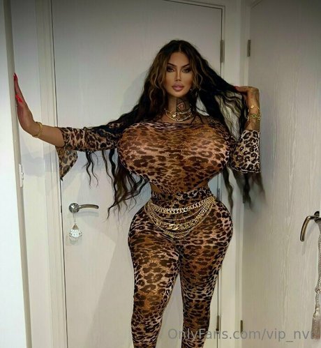 vip nvr model exclusive images