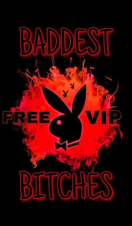 kittiesvip star sexy img