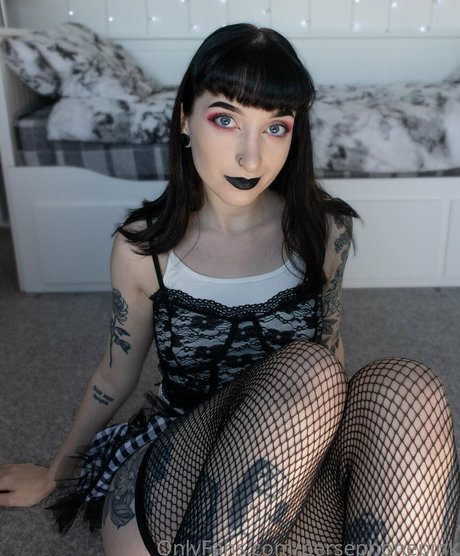 persephonepink art pornstar galleries