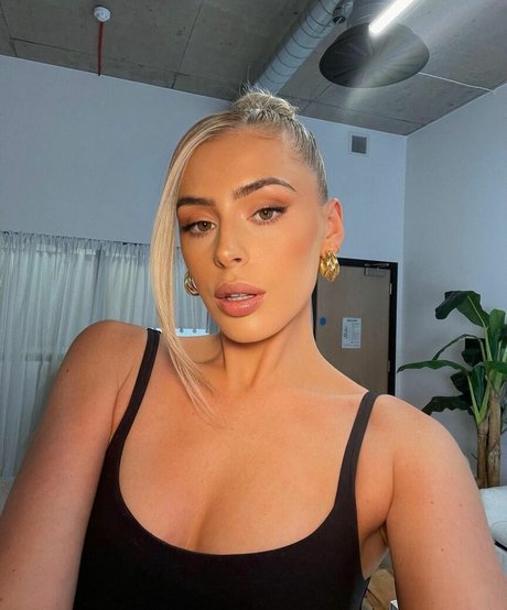 Sian Owen art star archive