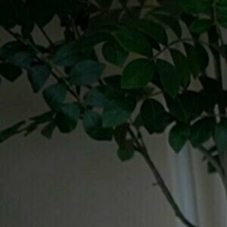 kaylee free beautiful star img