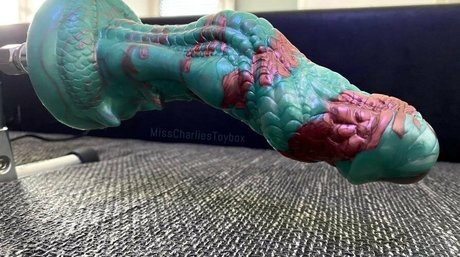 misscharliestoybox beautiful model image