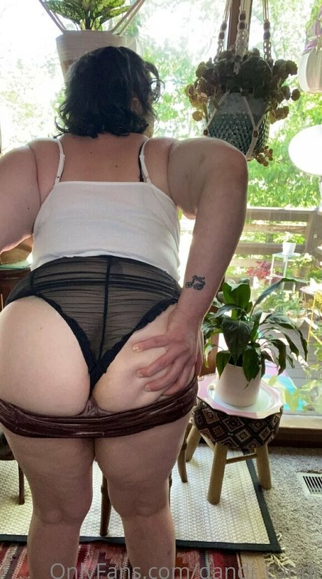 dandi candi perfect star galleries