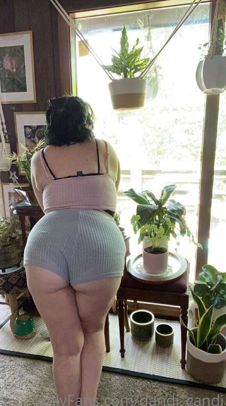 dandi candi pornstar nice gallery