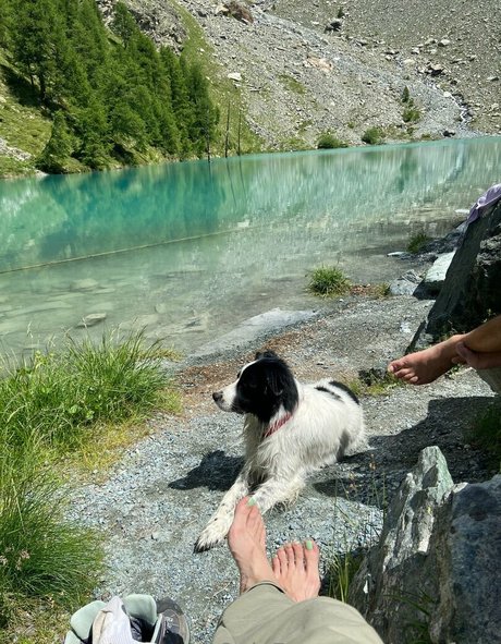 aryafaye model pornographic archive