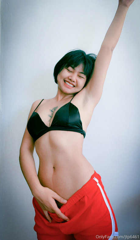 jtp6461 perfect model archive