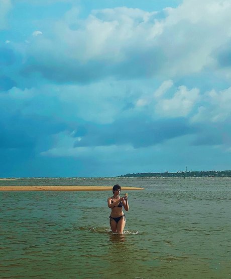 Triz star free galleries