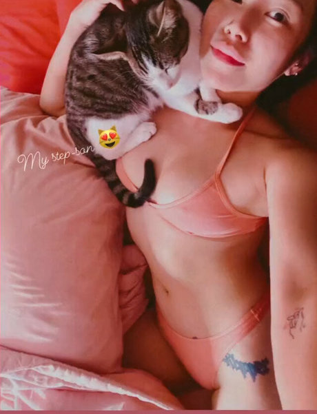 Felix Fang star nice img