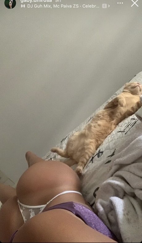 gaby dmrosa nice pornstar image