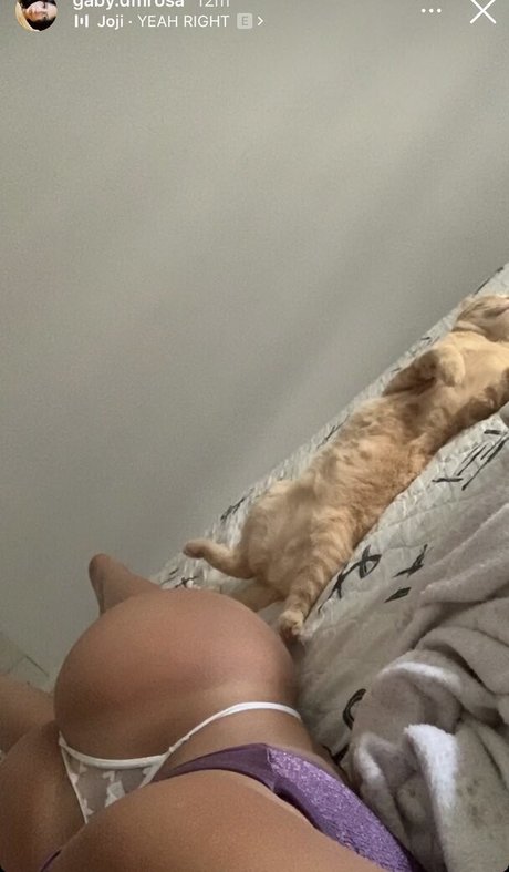 gaby dmrosa naked pornstar galleries