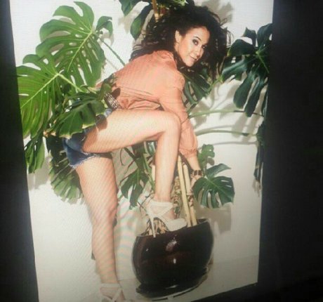 Emmanuelle Chriqui star art images