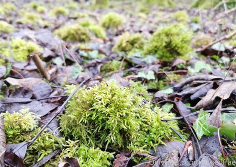 tattoo onlyfans beautiful xxx pic