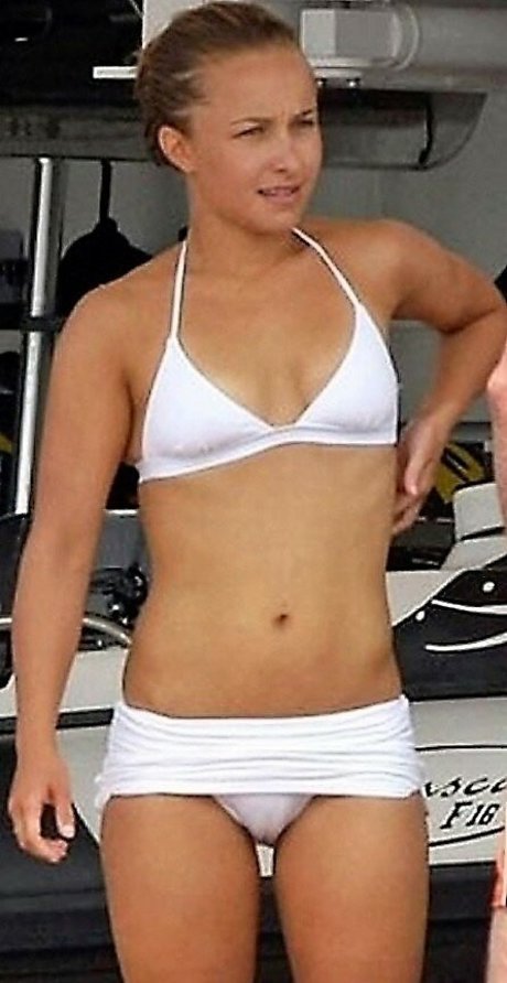 Hayden Panettiere star adult images