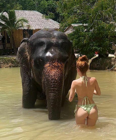 kitty princess onlyfans best image