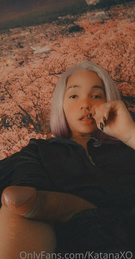 katanaxo high quality star archive