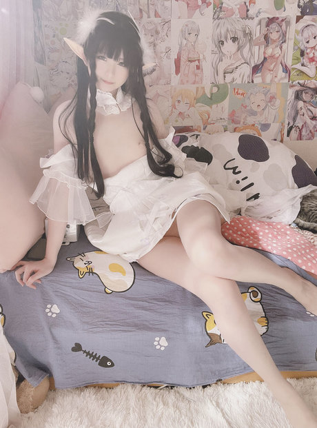 Xidaidai top star photos