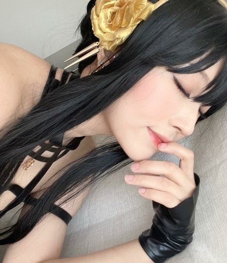 Aikuros star perfect archive