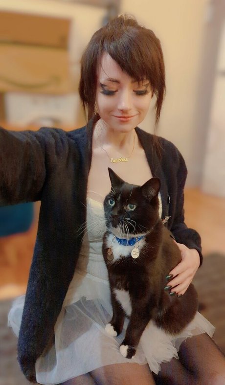 Yogscast Bouphe top pornstar gallery