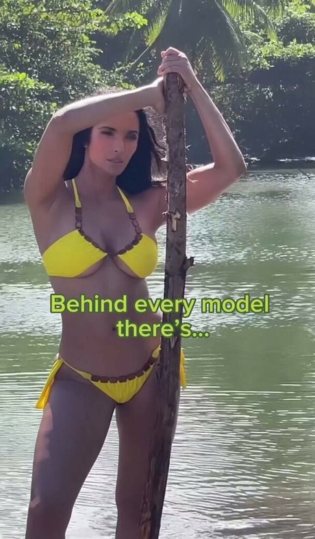 Padma Lakshmi art star image