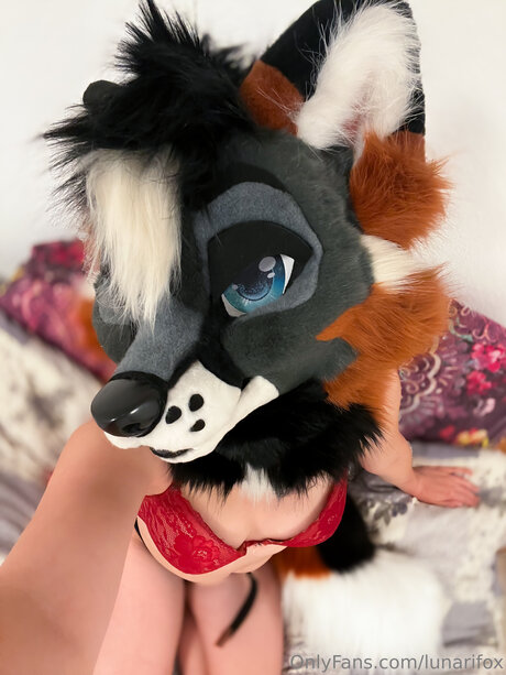 Lunarifox nice pornstar images